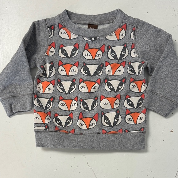 TEA Fox & Raccoon Crewneck Sweatshirt 6-9m - Picture 1 of 3